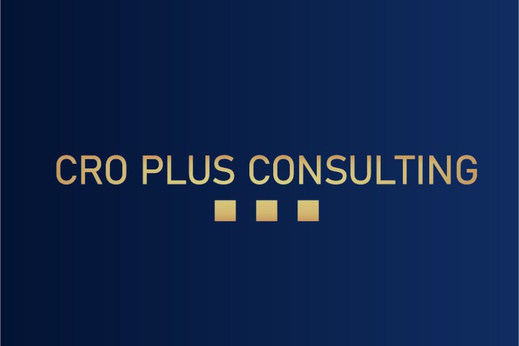 cro plus consulting swipe izrada web stranica